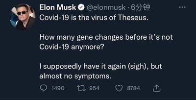 Tesla CEO Musk Infected Again With Covid-19