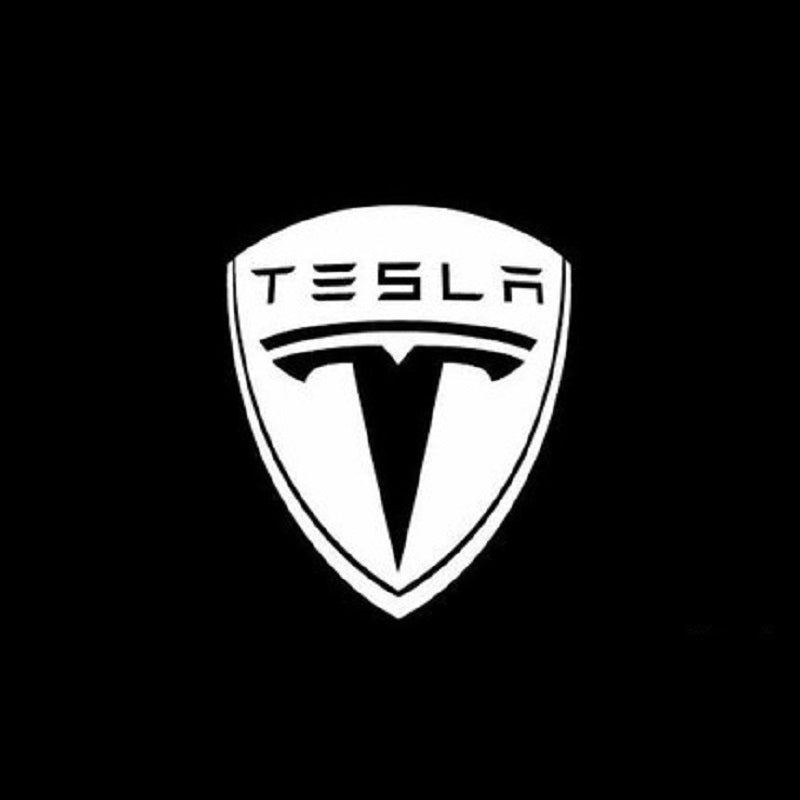 LED Tesla Logo Puddle Lights Car Door Lights For Model 3/ Y/ X